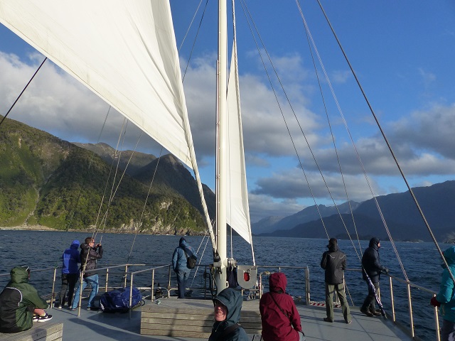 Sails on the Fiordland Navigator are partly unfurled for the downwind, return run into Doubtful Sound, Nov 2015